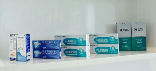中國口腔清潔護理用品工業協會理事長考察華素健康 口腔衛生用品